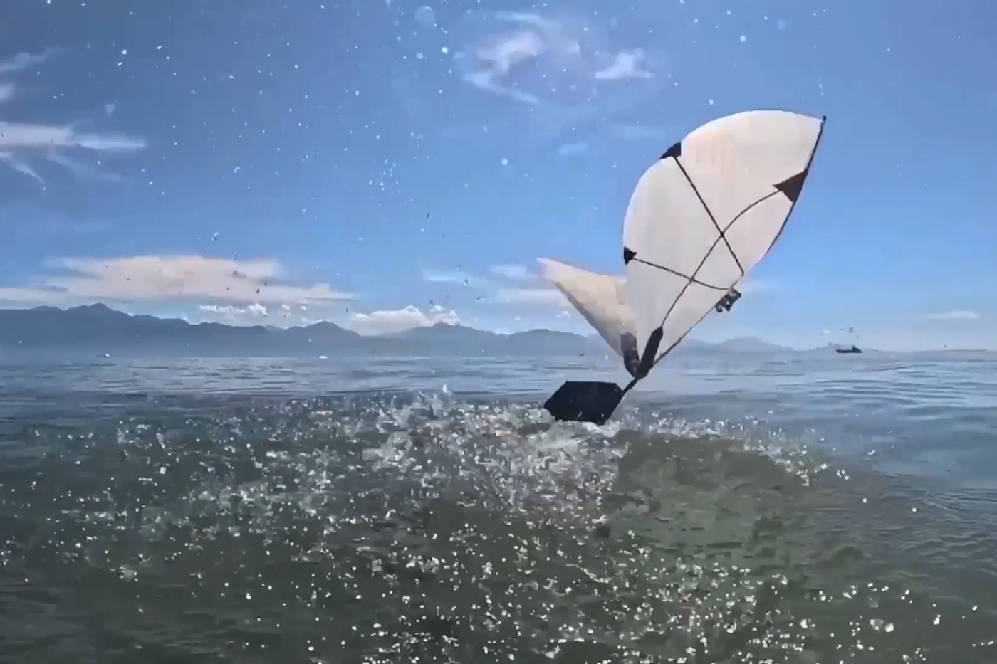 扑翼水空两栖机器人从湖面起飞