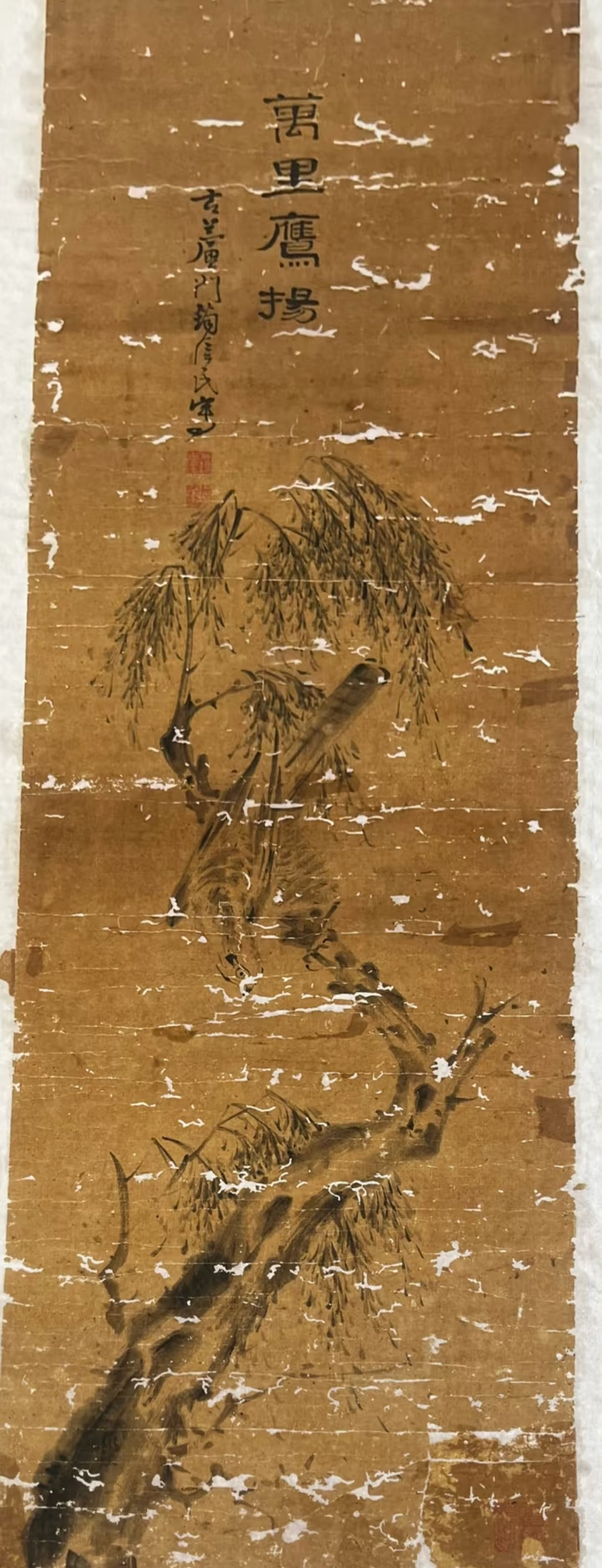 破损的《萬里鷹揚》古画